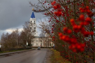 Сад, огород