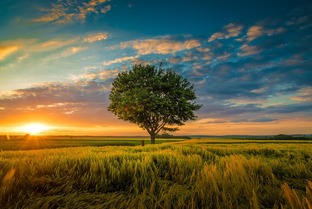 Красиво 