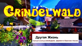 Прогулки на диване