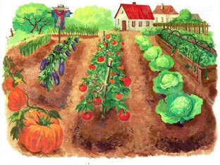 Мир вокруг Дачи