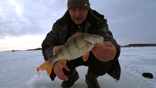 зимняя рыбалка на р.Оке и других водоёмах