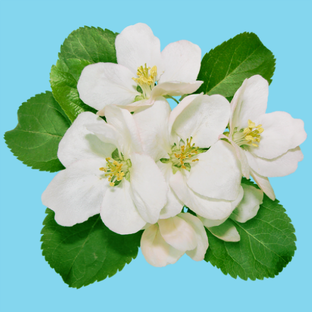 Психология ВсеЕдинства, встречи 2026 года.