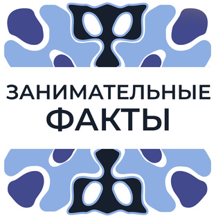 Занимательные факты