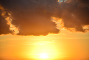 Пси Безопасность (Сны о России)