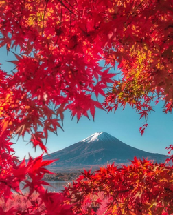 Туризм, гидство, советы путешественникам