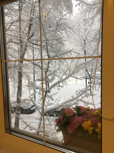 Что посмотреть на новогодних праздниках?