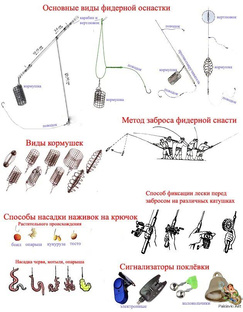 Рыболовная инфографика