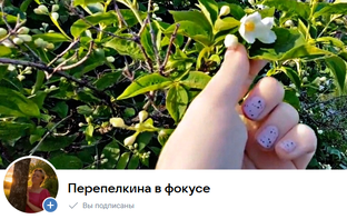 Сообщество в ВК