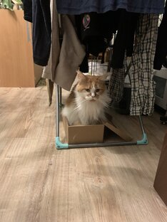 Психология - учение души, а не душу учить