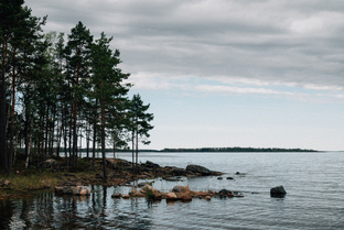 Фотографии