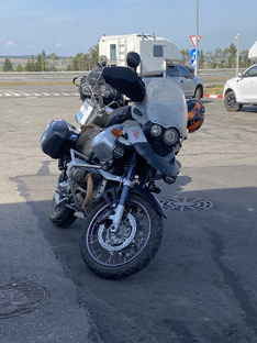 Сцикливые эндуристы