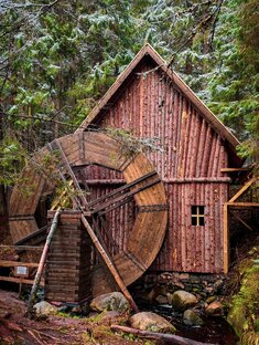 Все о сердце