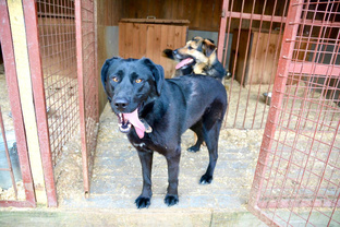 Рубрика про Теремок♥️