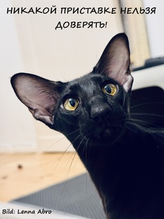 Никакой приставке нельзя доверять!