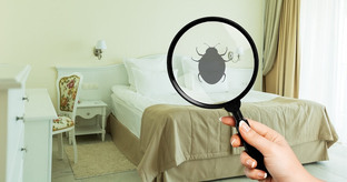 Дезинсекция