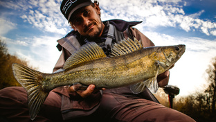 Ловля судака