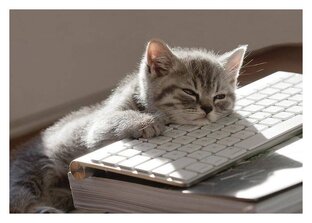 Английский для школьников