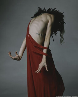 Механика тела