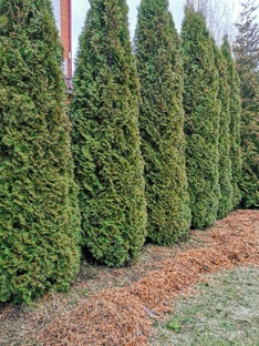 Полезные советы