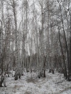 Про Дзен и монетизацию