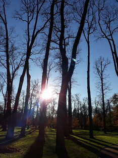 Житейские истории