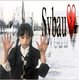 (ᴡᴇᴅɴᴇsᴅᴀʏ) ᴀʀᴛs🐦‍⬛🐦‍⬛