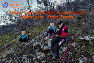 Пол года в дзен.