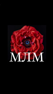 МЛМ