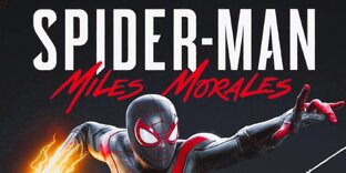 Spider-Man Miles Morales