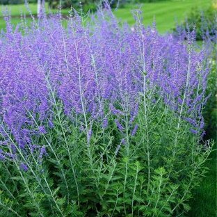 Понедельники особенные