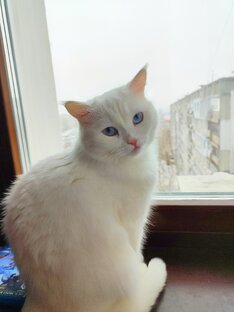 Умиляюсь 😻🐈‍⬛🐈🐌🐕