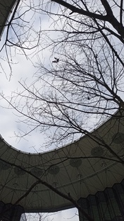 Веришь В ЧУДО? 🌞🌛✨🌧🌈🌨
