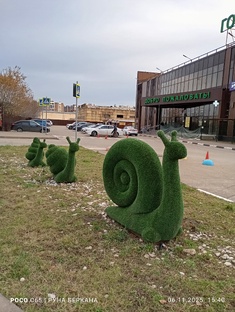 Милая 🐌 улитка