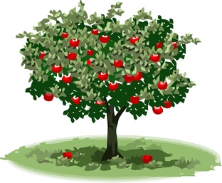 Обрезка яблонь