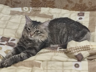 В нашем коллективе замечательный Кузьма