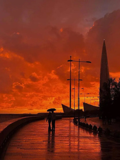 Новости Петербурга