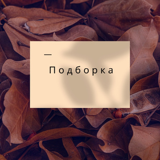 Подборки