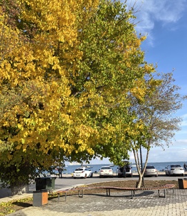 Осенний Крым 