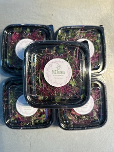 Начни с этого 🔞