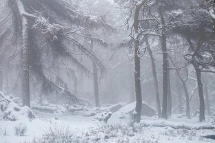 Мифы.
