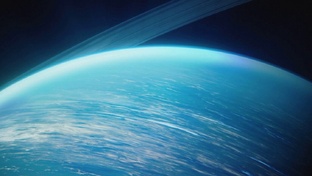 ИЛЛЮЗИИ НЕПТУНА