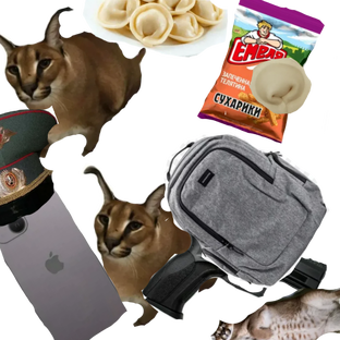 Лучшие видео Шлёпы