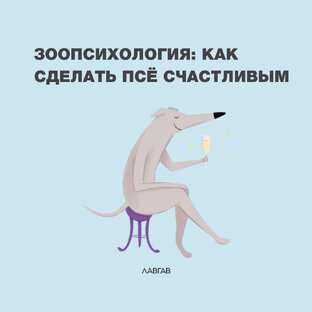 Счастливый хвостик