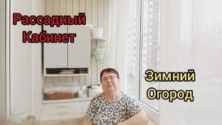 Зимний огород