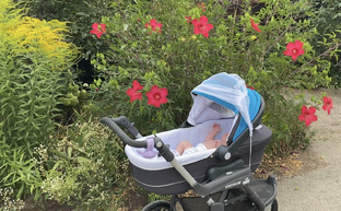 Материнство