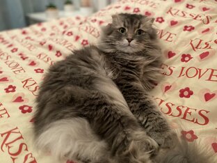 Цитаты из рассказов