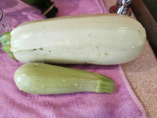 Заповедник агронома: от парного молока до малосольных огурцов