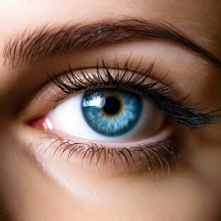 Марк Шлозберг и другие