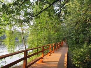 Серебряный бор