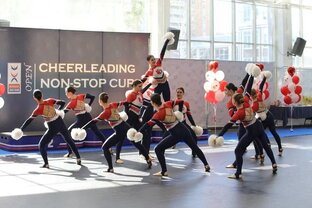 Запрещенные элементы